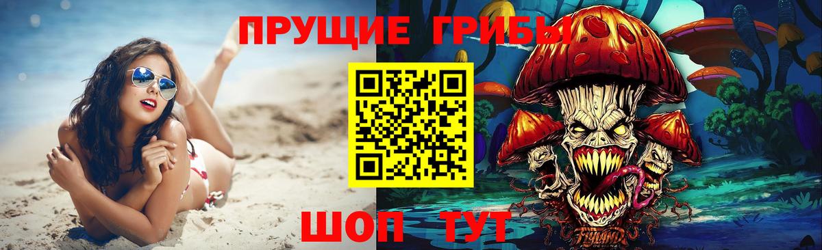 Псилоцибиновые грибы Psilocybine cubensis  Галлюциногенные грибы MAGIC MUSHROOMS  Электросталь  Вход с VPN 