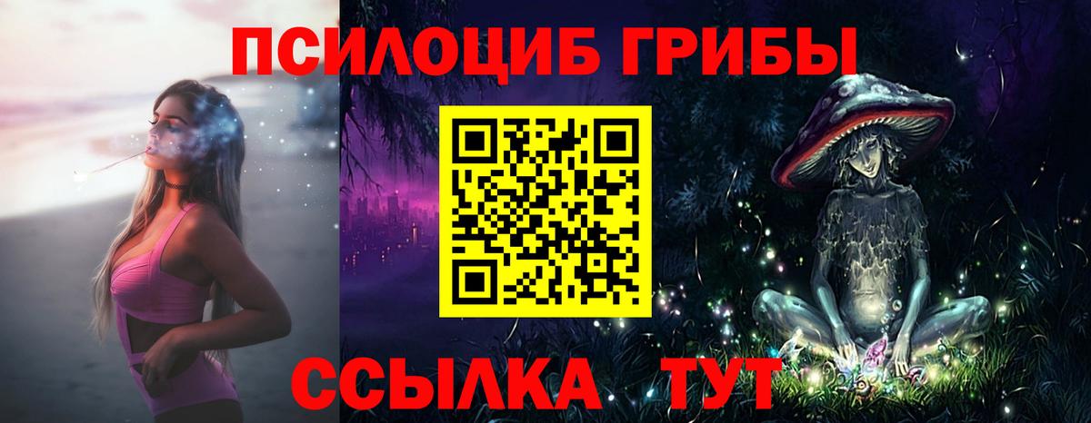 Галлюциногенные грибы Cubensis Электросталь