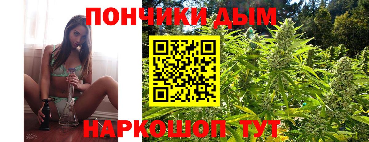 Бошки Шишки ГИДРОПОН  Вход с VPN  Бошки Шишки OG Kush  Каннабис план  Электросталь 